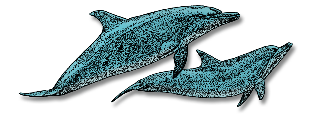 Wild Ocean Science - 2026